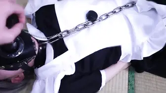 给各位看看我家养的宠物狗 很听话的 极品调教系列