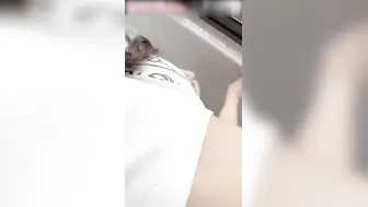 真实家庭乱伦 正在电话的妹妹被哥哥强操