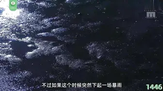 π1446 跟我告白的是妹妹