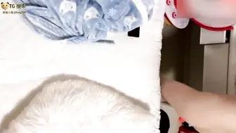 后入学生妹 多个高颜值白嫩白虎无毛初中生粉嫩萝莉少女被操视频偷拍