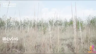 [糖心Vlog] 中出魅魔奈奈 荒野深喉吞屌 连体情趣极致魅惑骑乘榨精内射 - 西野加奈
