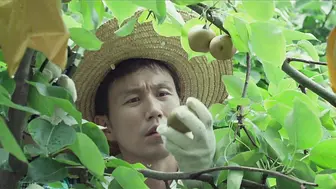 善良的妻子.The.Kind.Wife.2016.HD1080P.韩语中字